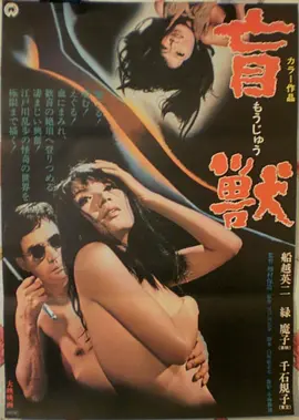 年代悬疑电影《暗室显影》海报